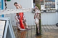 Alaska Wildlife-46